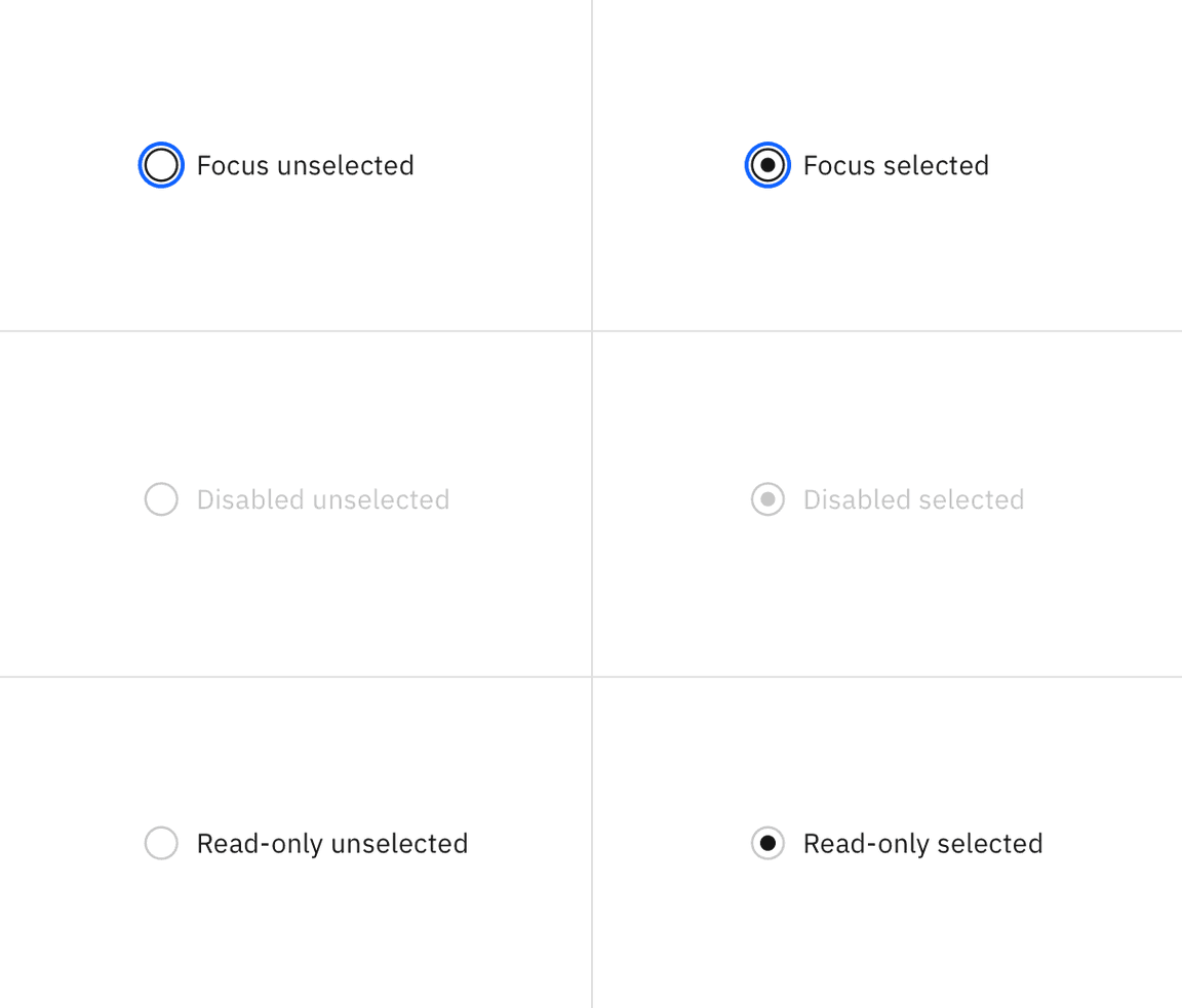 Examples of focus, disabled, read-only, error, and warning states